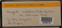 Image Associated With the Occurence